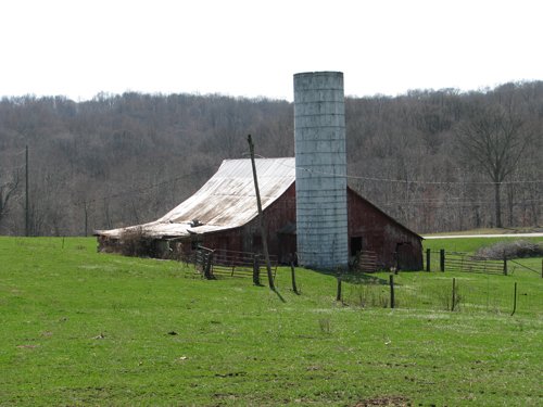 Property photo 5 - 137 Acres in 2 Tracts - 64 Tillable Acres, Potential Building Sites, Hunting